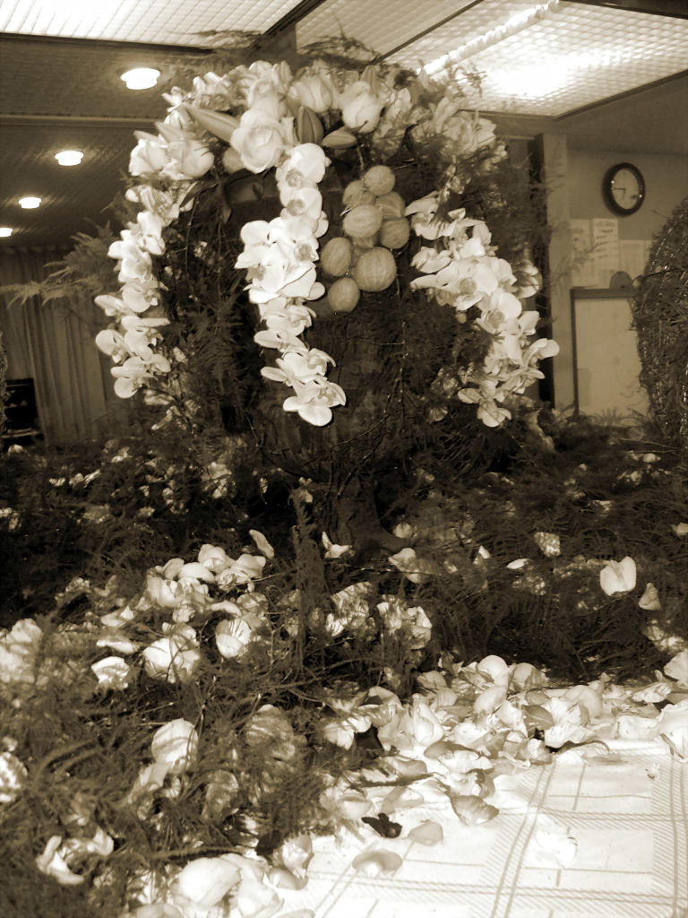 Loading Image